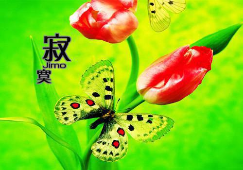 写快乐的春节日记600字：过年